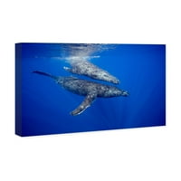 Уинууд студио Морски и крайбрежни картини 'Двойка гърбати китове от Дейвид Флийтъм' Морски Живот-Синьо, кафяво