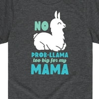 Незабавно съобщение - без Probllama - Графична тениска с малко дете и младежки