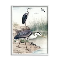 Ступел индустрии чапли птици на брега на езерото пампас трева природа Живопис бяла рамка изкуство печат стена изкуство, дизайн