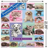 Кийт Кимбърлин - Плакат за стена на кученца и котенца с бутални щифтове, 14.725 22.375