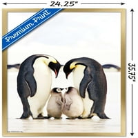 Група за стенен плакат на император Penguins, 22.375 34